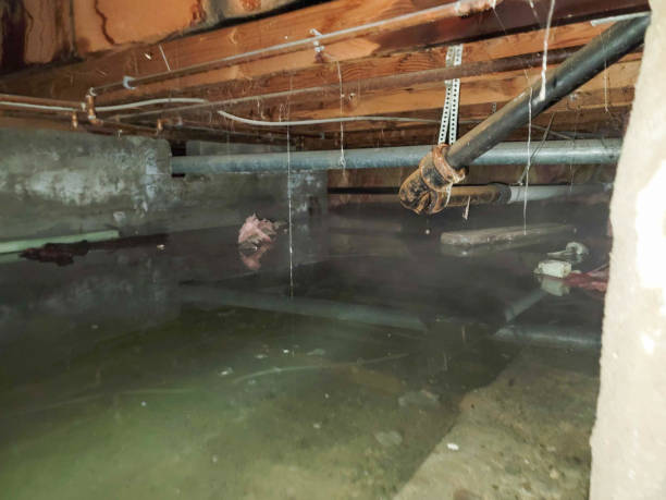 Best Water damage restoration near me  in Warren, MI