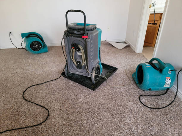 Best Local water damage restoration  in Warren, MI