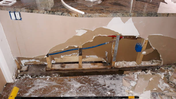 Best Water damage restoration near me  in Warren, MI