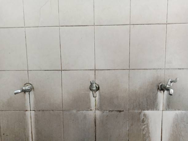Best Water damage restoration mold remediation  in Warren, MI
