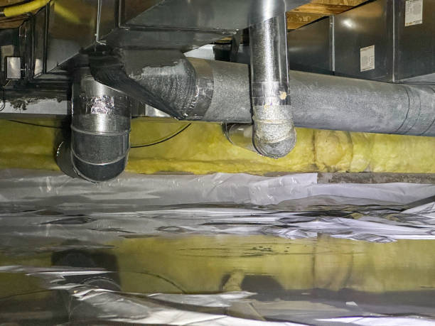 Best Water damage contractors near me  in Warren, MI